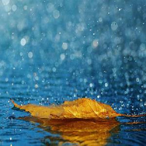 裸体 惩罚 拍击spank 网站
